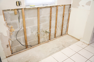 Oberlin-mold-removal