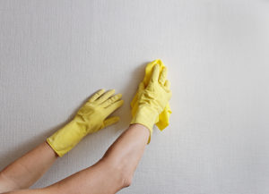 mold-removal-techniques