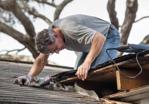 mold inspection