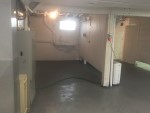 Castalia, OH Basement Mold Remediation