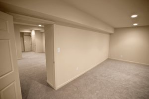 Cleveland Basement Mold