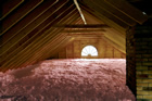 Cleveland attic mold