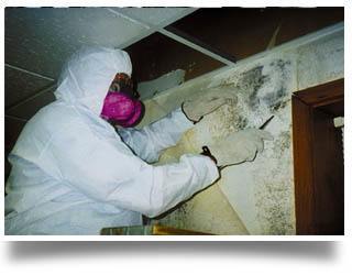 mold remediation Sandusky OH